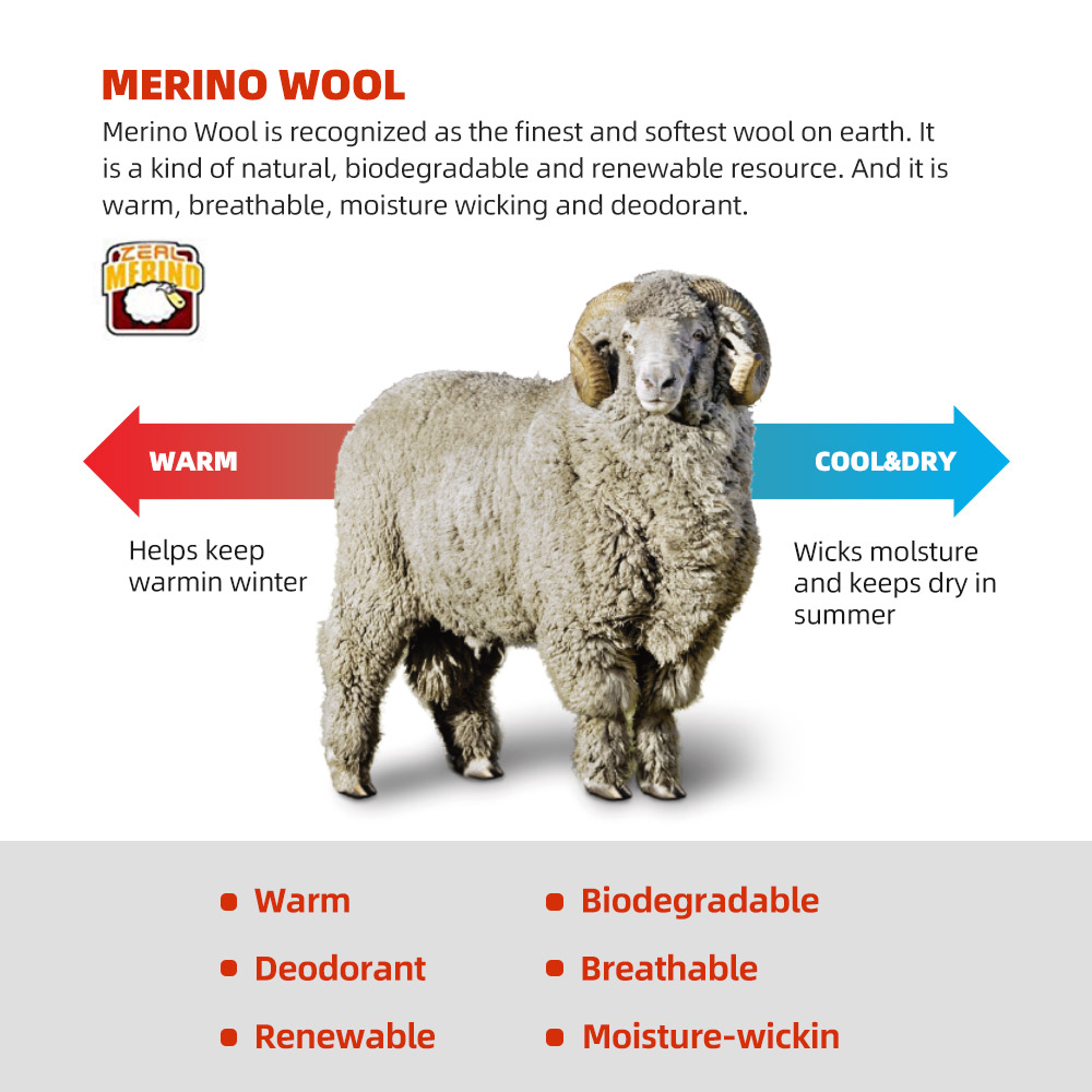 ZEALWOOD Merino Wool Running S - Wool Hiking Sock recensione e prezzo
